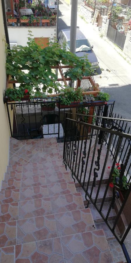 Guest House Ares Sozopol Zewnętrze zdjęcie